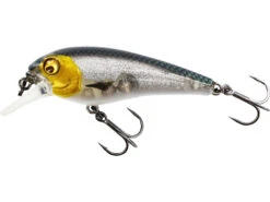 Westin BullyBite Crankbait 7cm -Fishing Paradise Shop 1934ef1c2df2179e