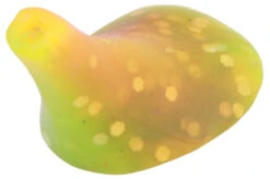 Behr Trendex Trout-Paddle Multi-Colour -Fishing Paradise Shop 1e05c79b87bca868