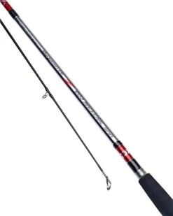 Daiwa Seahunter Z Spin Rod - 10' 2pc 1-3oz