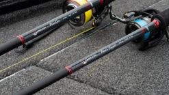 Fox Rage Warrior Pike Spinning Rod 2.40m (50-120g) -Fishing Paradise Shop 4d462ec51d3d552b