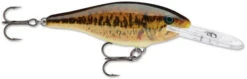 Rapala Shad Rap 05 & 06 -Fishing Paradise Shop 612568e11aac4037