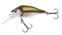 Fox Rage Funk Bug DR 5cm 7gr Floating 0-2m UV Plug -Fishing Paradise Shop 6cf3f21492ad5a1b