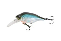 Fox Rage Funk Bug DR 5cm 7gr Floating 0-2m UV Plug -Fishing Paradise Shop 87c051835bb1afe0