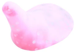 Behr Trendex Trout-Paddle Multi-Colour -Fishing Paradise Shop 9dc42e05fd2bc7a7