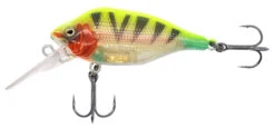 Fox Rage Funk Bug DR 5cm 7gr Floating 0-2m UV Plug -Fishing Paradise Shop be91c2a5a506f35a